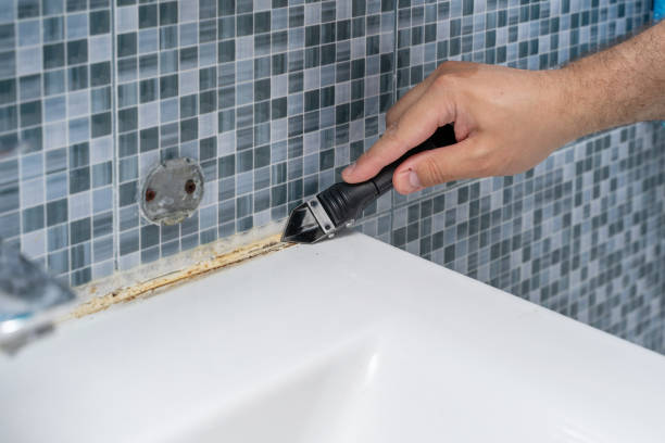 Best Attic Mold Removal  in Choctaw Lake, OH